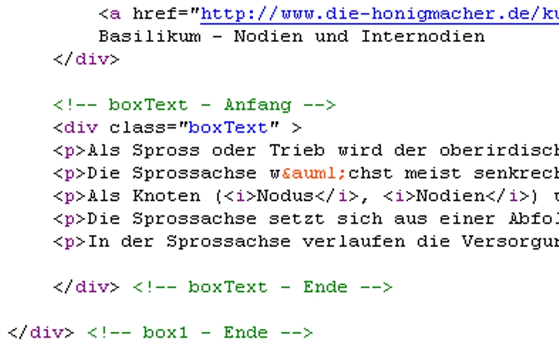HTML-Code einer Lernseite